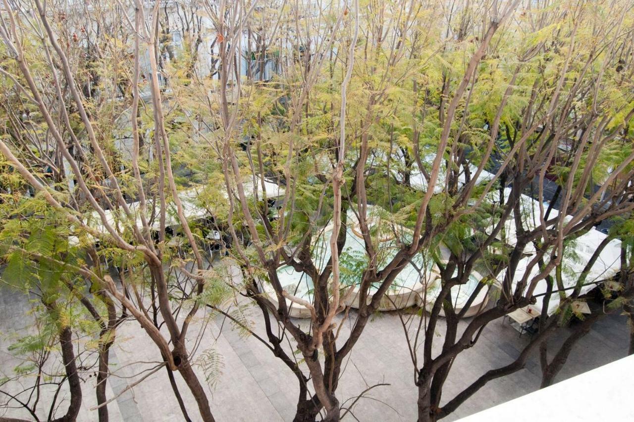 카디스 El Mirador Del Mentidero 아파트 외부 사진
